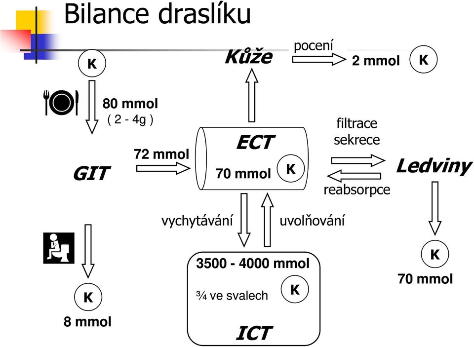 sekrece reabsorpce Ledviny vychytávání