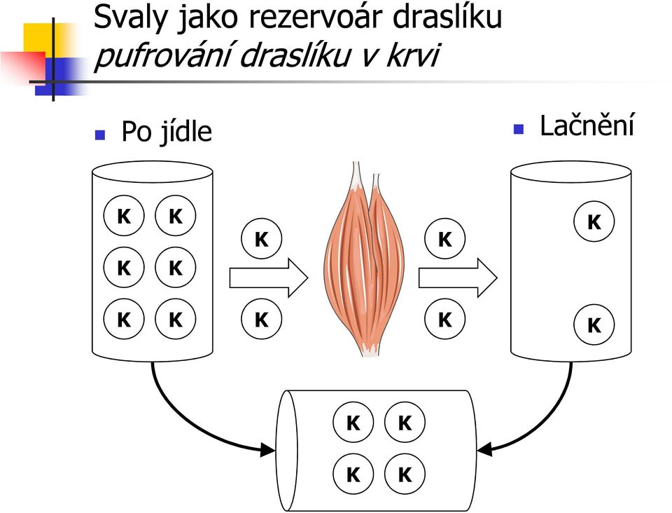 draslíku