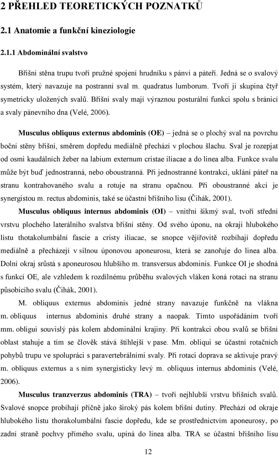 Břišní svaly mají výraznou posturální funkci spolu s bránicí a svaly pánevního dna (Velé, 2006).