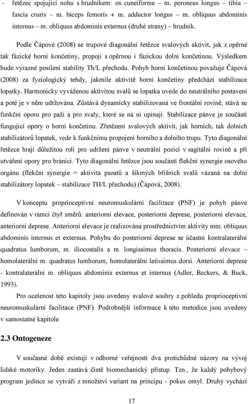 Podle Čápové (2008) se trupové diagonální řetězce svalových aktivit, jak z opěrné tak fázické horní končetiny, propojí s opěrnou i fázickou dolní končetinou.