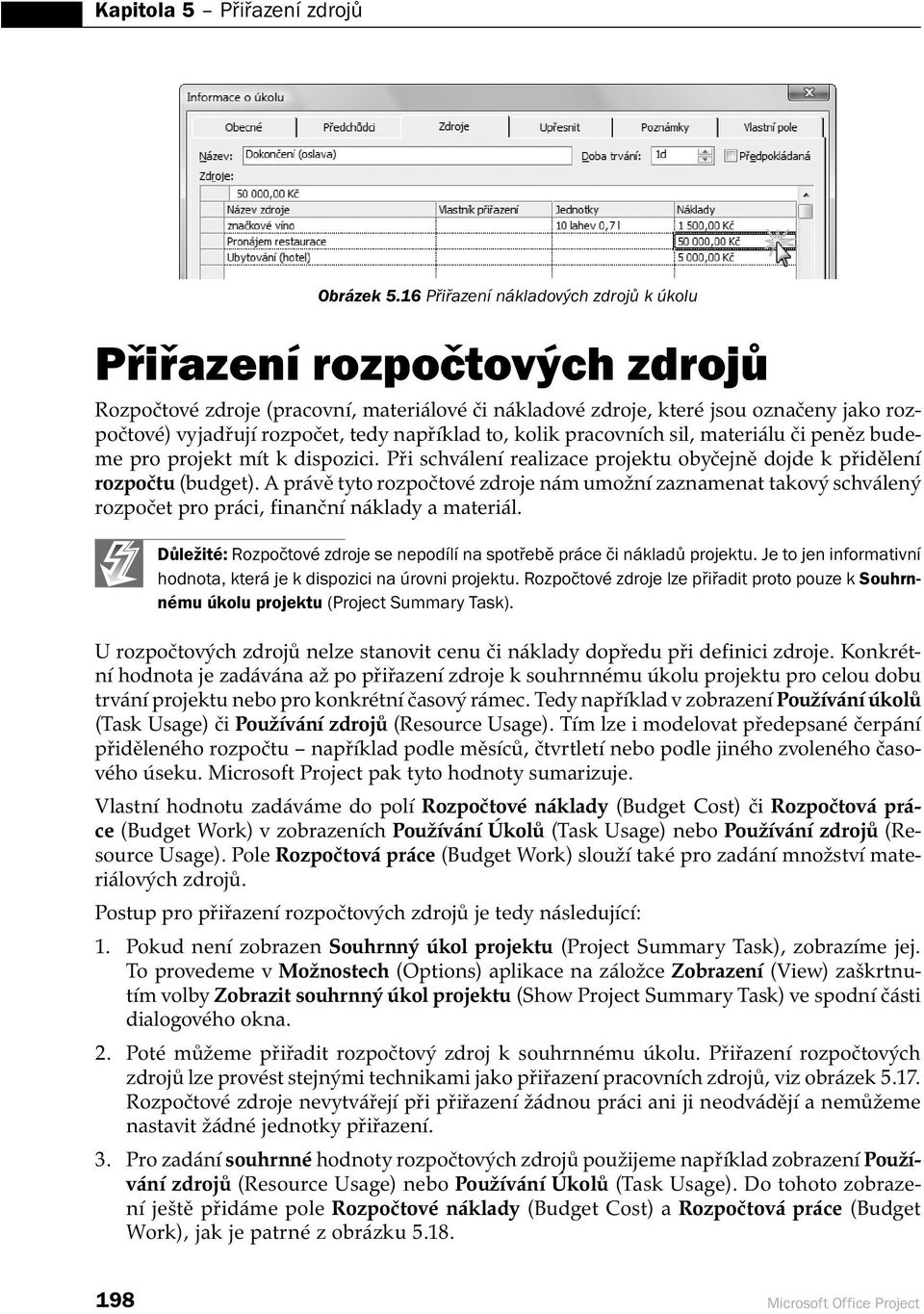 například to, kolik pracovních sil, materiálu či peněz budeme pro projekt mít k dispozici. Při schválení realizace projektu obyčejně dojde k přidělení rozpočtu (budget).