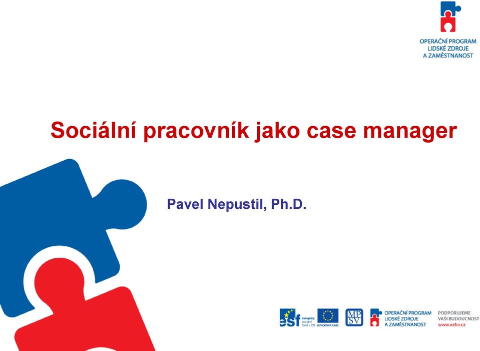 case manager