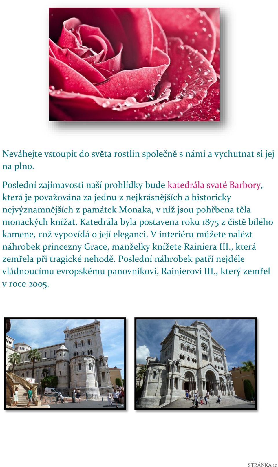 Monaka, v níž jsou pohřbena těla monackých knížat. Katedrála byla postavena roku 1875 z čistě bílého kamene, což vypovídá o její eleganci.