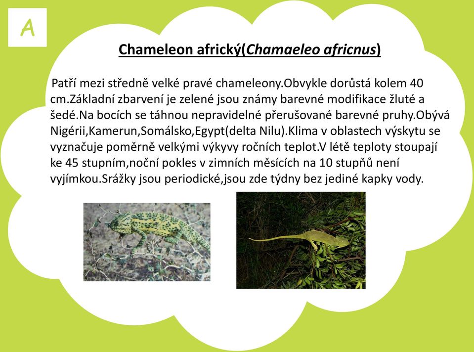 obývá Nigérii,Kamerun,Somálsko,Egypt(delta Nilu).Klima v oblastech výskytu se vyznačuje poměrně velkými výkyvy ročních teplot.