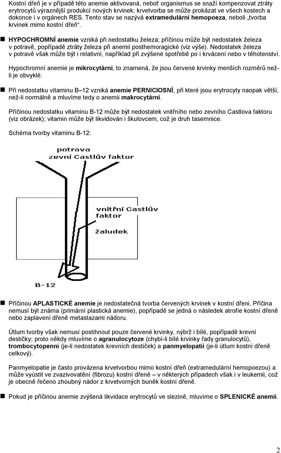 HYPOCHROMNÍ anemie vzniká při nedostatku ţeleza; příčinou můţe být nedostatek ţeleza v potravě, popřípadě ztráty ţeleza při anemii posthemoragické (viz výše).