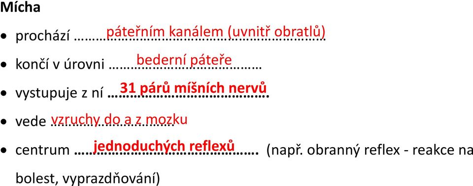 31 párů míšních nervů vede. vzruchy do a z mozku centrum.