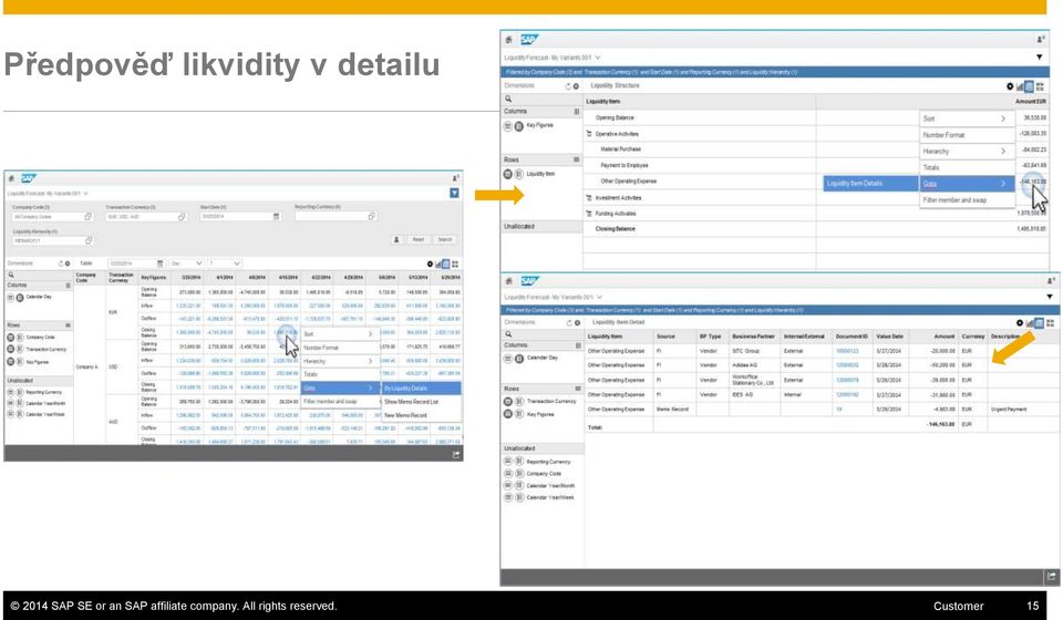 SAP affiliate company.