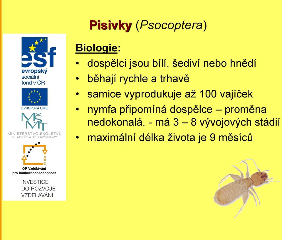 100 vajíček nymfa připomíná dospělce proměna nedokonalá,