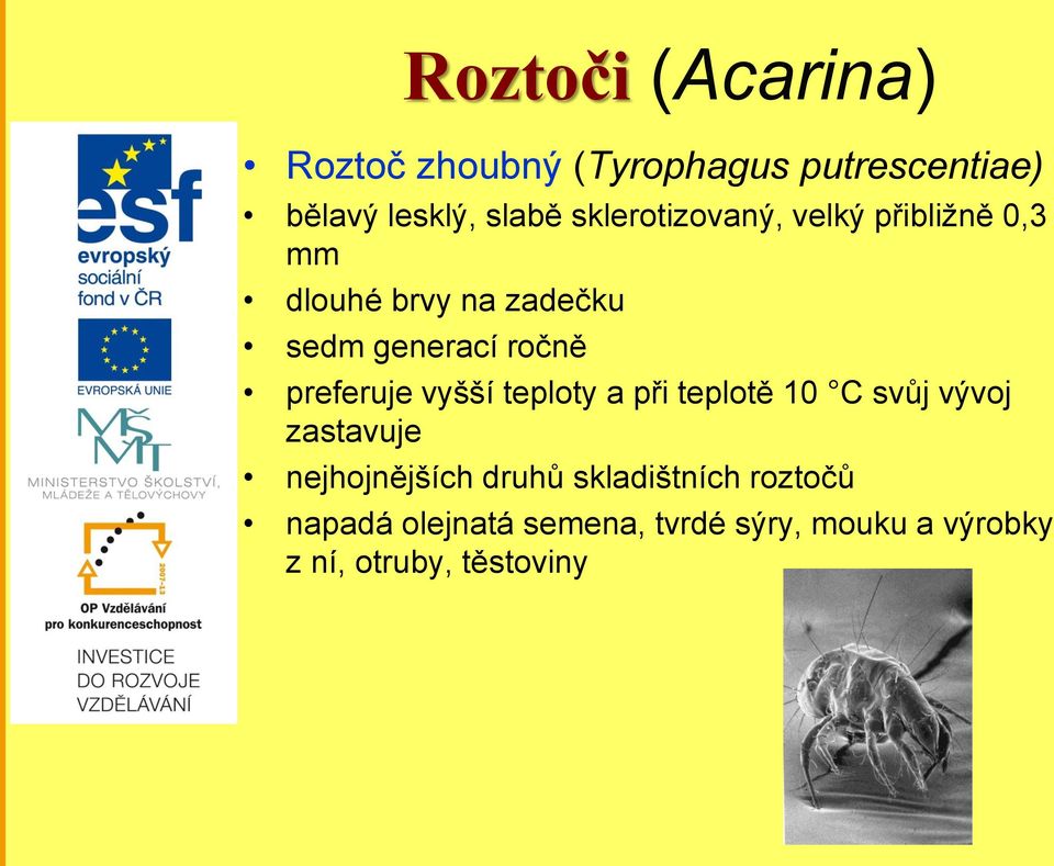 preferuje vyšší teploty a při teplotě 10 C svůj vývoj zastavuje nejhojnějších druhů