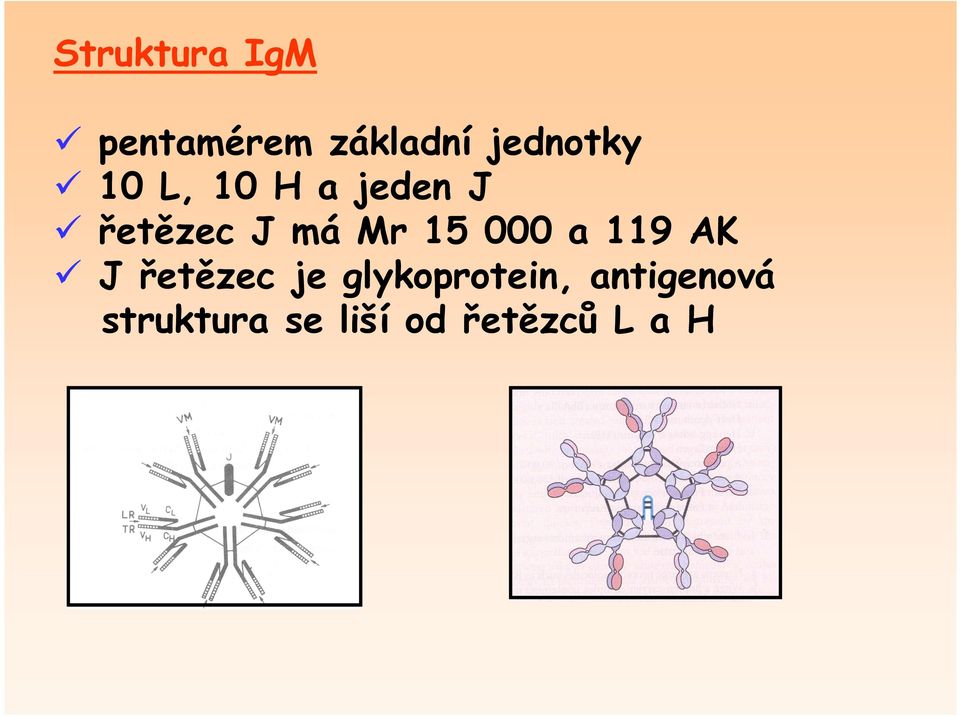 má Mr 15 000 a 119 AK J řetězec je