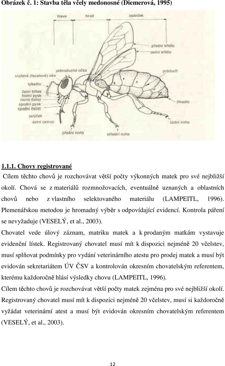 Kontrola páření se nevyžaduje (VESELÝ, et al., 2003). Chovatel vede úlový záznam, matriku matek a k prodaným matkám vystavuje evidenční lístek.