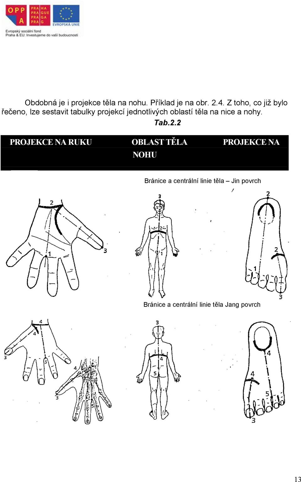 oblastí těla na nice a nohy. Tab.2.