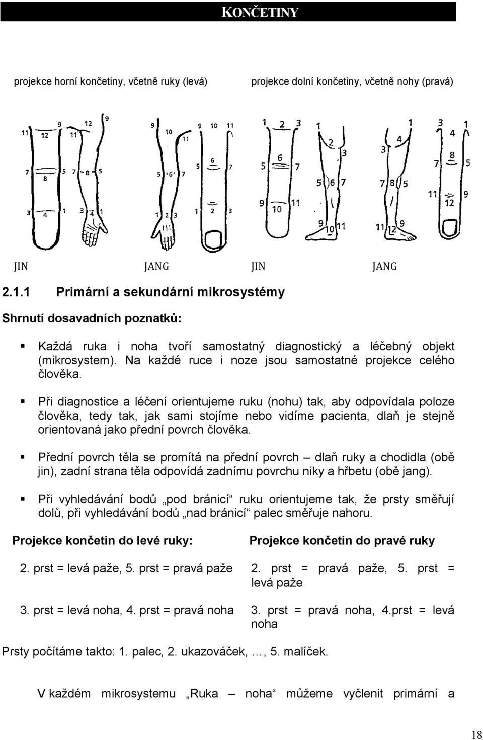 Na každé ruce i noze jsou samostatné projekce celého člověka.