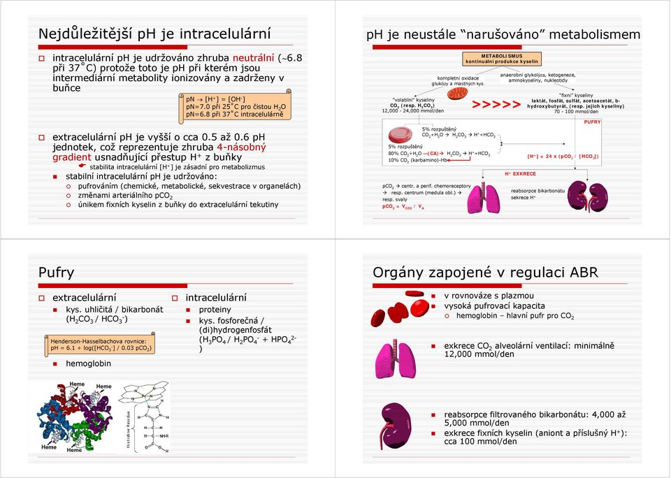 8 při 7 C intracelulárně extracelulární ph je vyšší o cca 0.5 až 0.