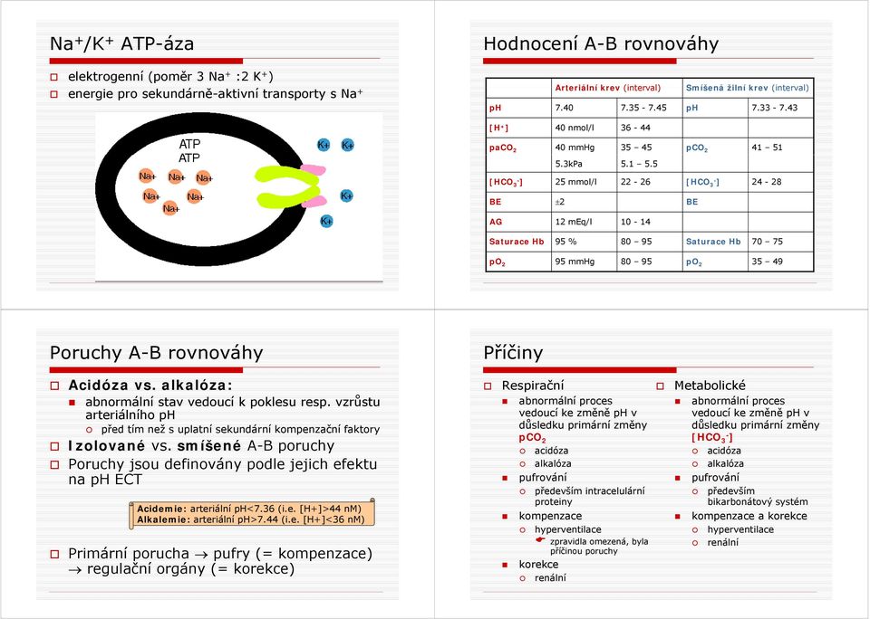 5.kPa 5.1 5.5 [HCO ] 25 mmol/l 22 26 [HCO ] 24 28 BE ±2 BE AG 12 meq/l 10 14 Saturace Hb 95 % 80 95 Saturace Hb 70 75 po 2 95 mmhg 80 95 po 2 5 49 Poruchy AB rovnováhy Příčiny Acidóza vs.