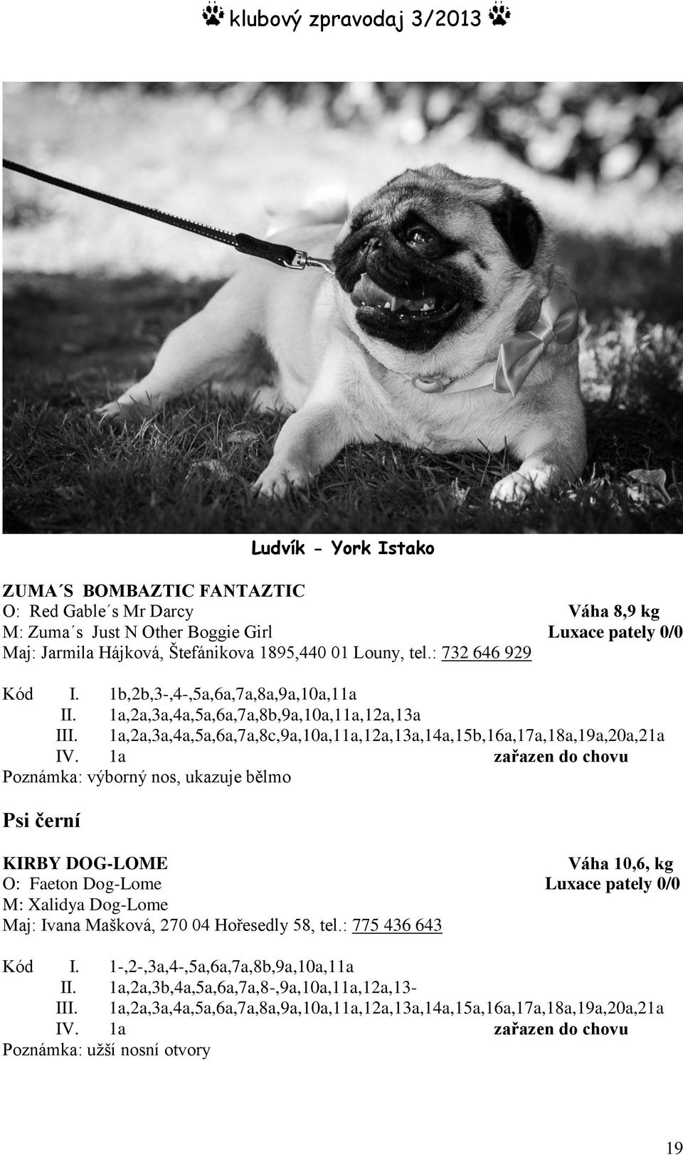 1a zařazen do chovu Poznámka: výborný nos, ukazuje bělmo Psi černí KIRBY DOG-LOME Váha 10,6, kg O: Faeton Dog-Lome Luxace pately 0/0 M: Xalidya Dog-Lome Maj: Ivana Mašková, 270 04 Hořesedly 58, tel.