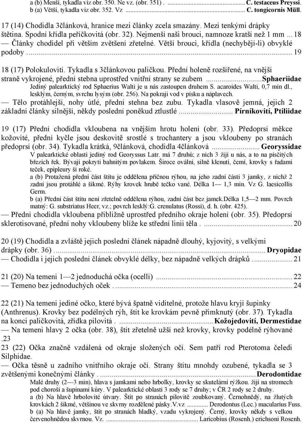 .. 18 Články chodidel při větším zvětšení zřetelné. Větší brouci, křídla (nechybějí-li) obvyklé podoby... 19 18 (17) Polokulovití. Tykadla s 3článkovou paličkou.