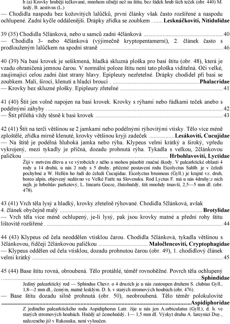 ...lesknáčkovití, Nitidulidae 39 (35) Chodidla 5článková, nebo u samců zadní 4článková... 40 Chodidla 3- nebo 4článková (výjimečně kryptopentamerní), 2.