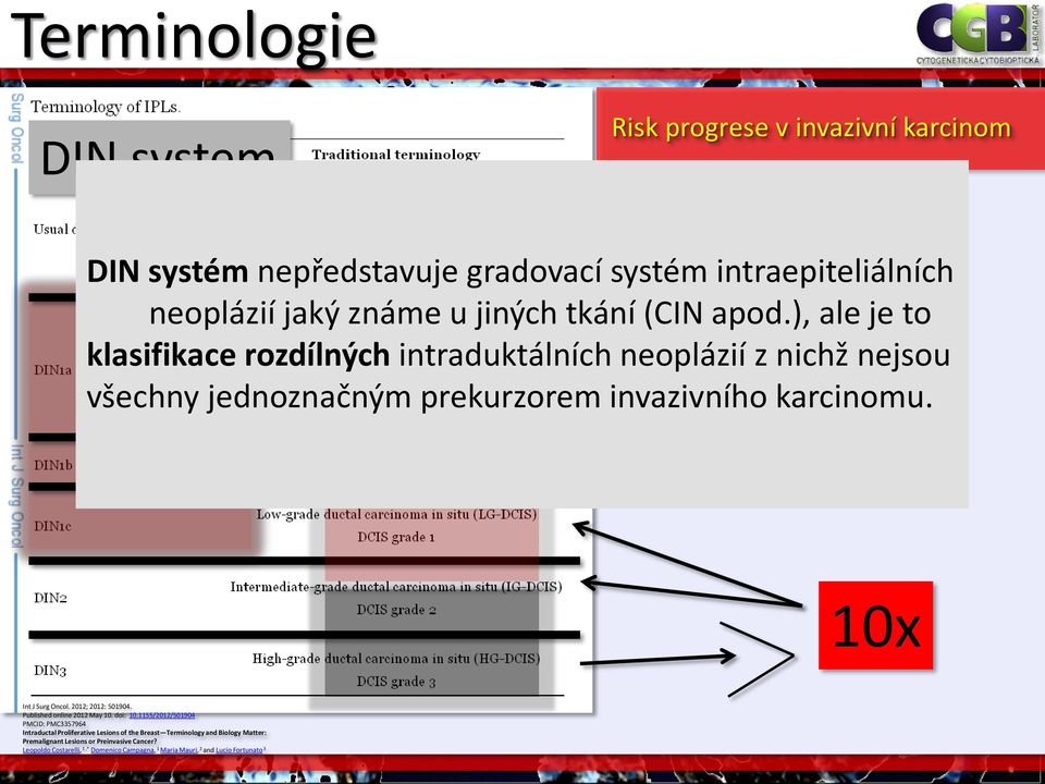 4x 10x Int J Surg Oncol. 2012; 2012: 501904. Published online 2012 May 10. doi: 10.