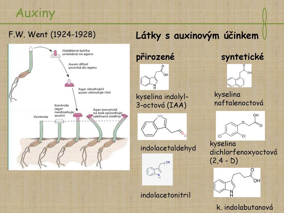 syntetické kyselina indolyl- 3-octová (IAA) kyselina