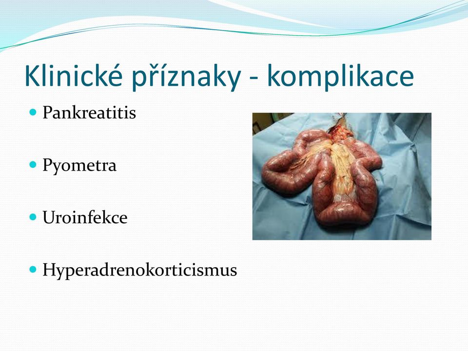 Pankreatitis Pyometra