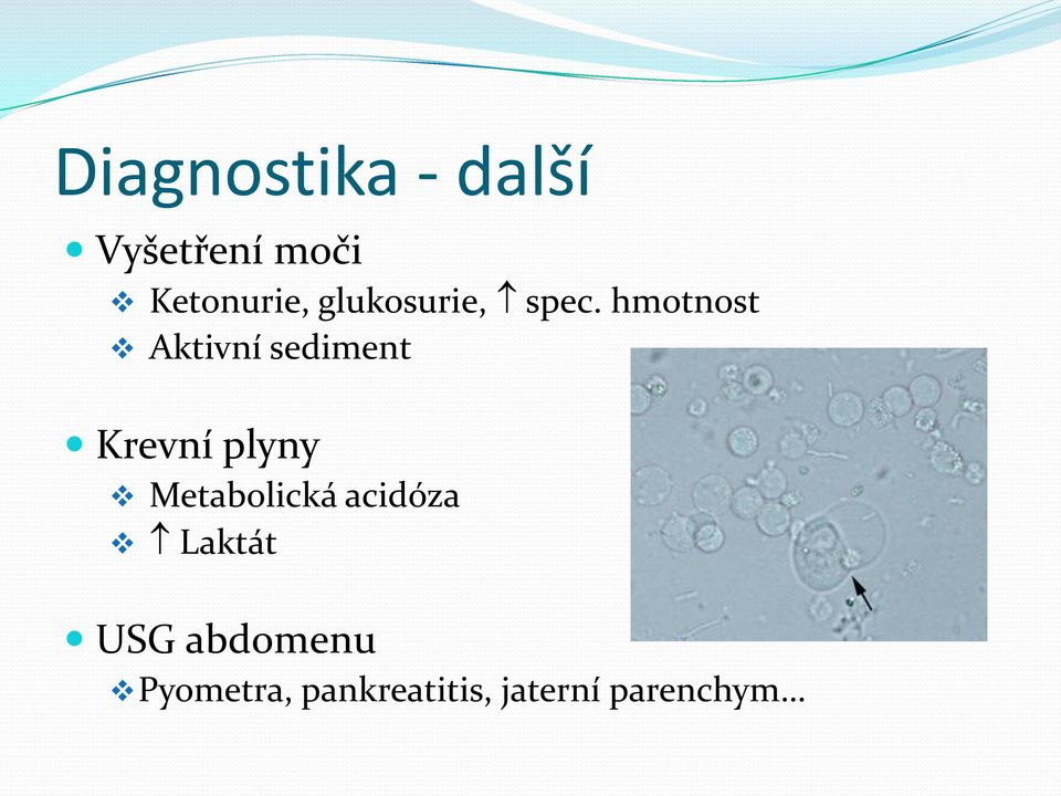 hmotnost Aktivní sediment Krevní plyny