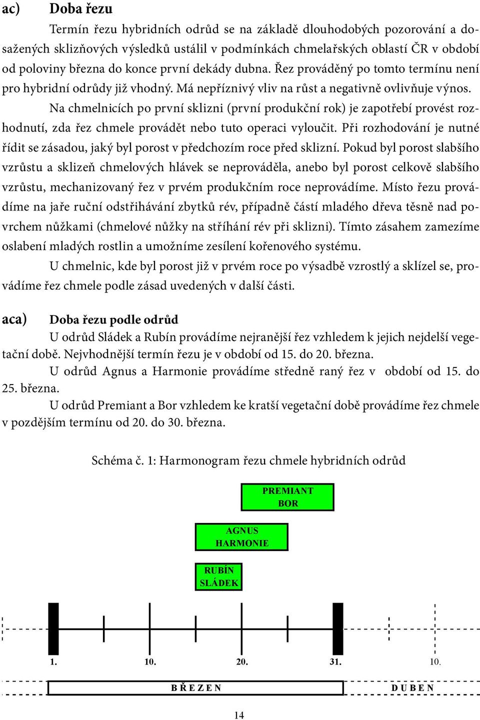 Na chmelnicích po první sklizni (první produkční rok) je zapotřebí provést rozhodnutí, zda řez chmele provádět nebo tuto operaci vyloučit.