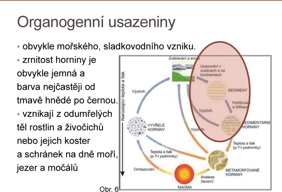 hnědé po černou.