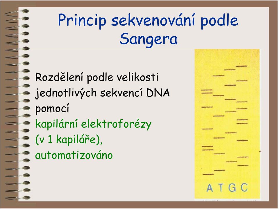 jednotlivých sekvencí DNA pomocí