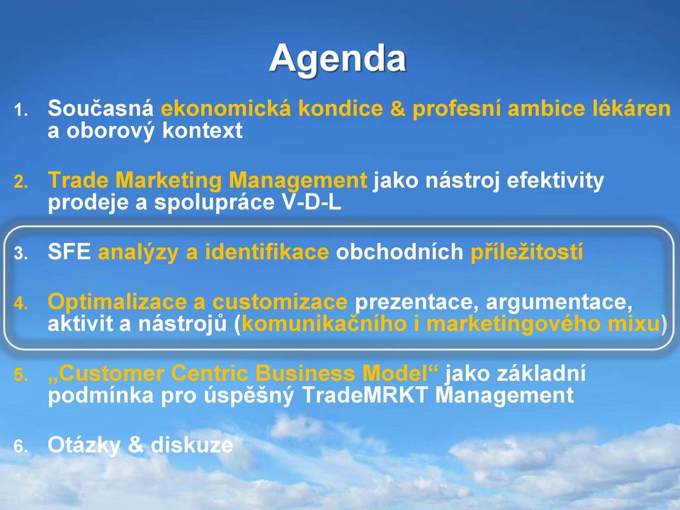 SFE analýzy a identifikace obchodních příležitostí 4.