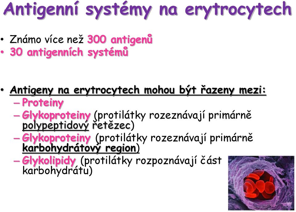 rozeznávají primárně polypeptidový řetězec) Glykoproteiny (protilátky rozeznávají