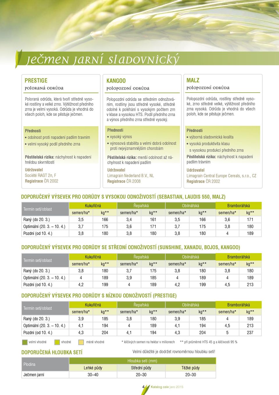 odolnost proti napadení padlím travním velmi vysoký podíl předního zrna Pěstitelská rizika: náchylnost k napadení hnědou skvrnitostí Udržovatel Société RAGT 2n, F Registrace ČR 2002 Kangoo Polopozdní