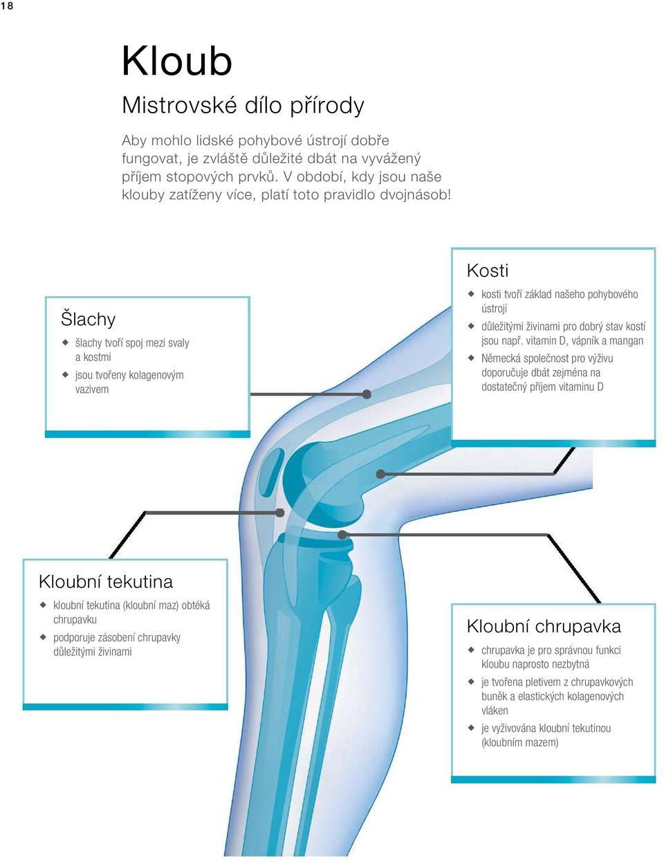 Šlachy šlachy tvoří spoj mezi svaly a kostmi jsou tvořeny kolagenovým vazivem Kosti kosti tvoří základ našeho pohybového ústrojí důležitými živinami pro dobrý stav kostí jsou např.