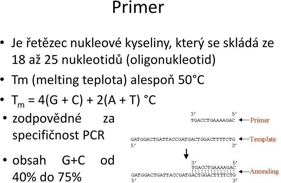 teplota) alespoň 50 C T m = 4(G + C) + 2(A + T) C