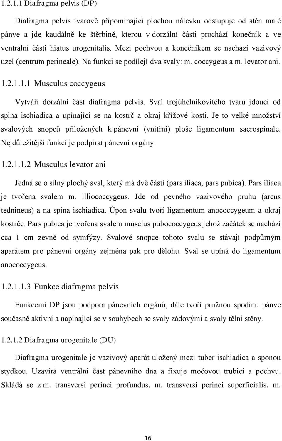 2.1.1.1 Musculus coccygeus Vytváří dorzální část diafragma pelvis. Sval trojúhelníkovitého tvaru jdoucí od spina ischiadica a upínající se na kostrč a okraj křížové kosti.