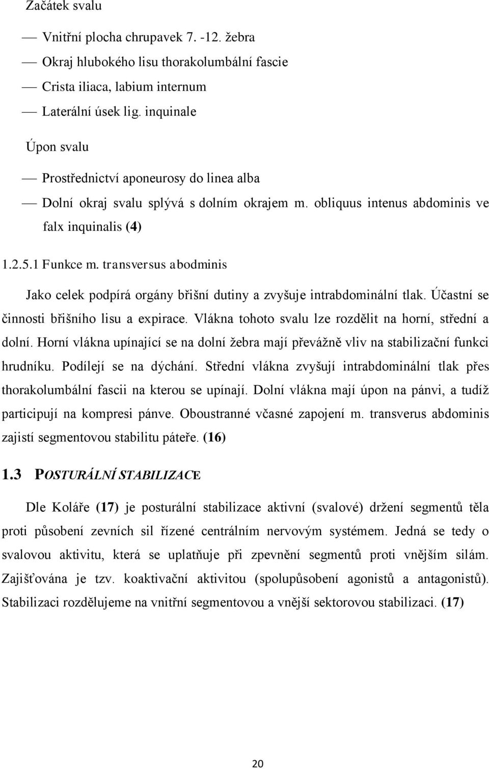 transversus abodminis Jako celek podpírá orgány břišní dutiny a zvyšuje intrabdominální tlak. Účastní se činnosti břišního lisu a expirace. Vlákna tohoto svalu lze rozdělit na horní, střední a dolní.