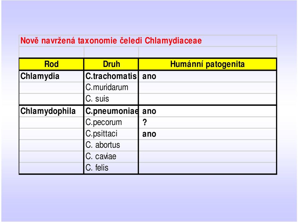 trachomatis ano C.muridarum C. suis Chlamydophila C.