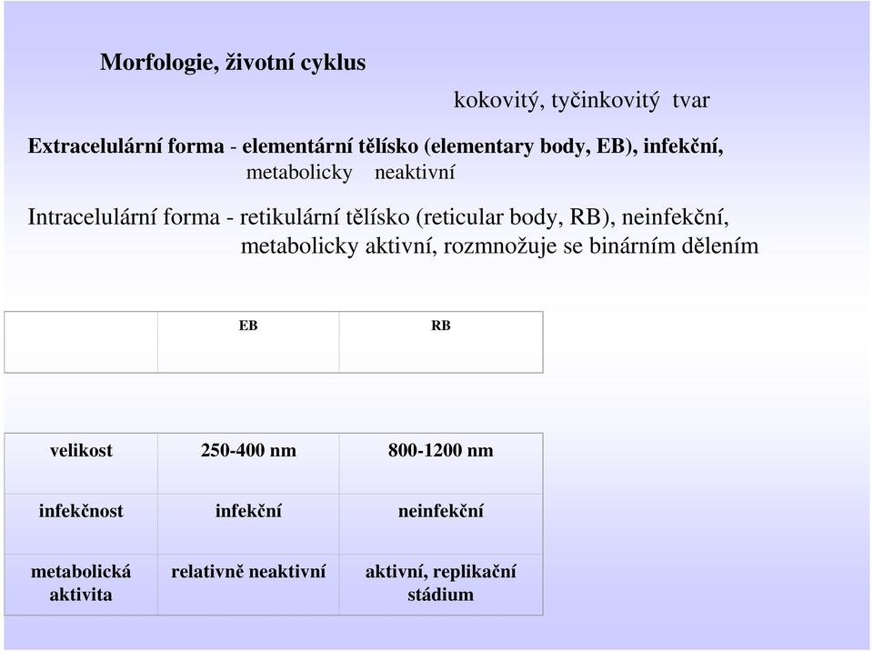 (reticular body, RB), neinfekční, metabolicky aktivní, rozmnožuje se binárním dělením EB RB velikost