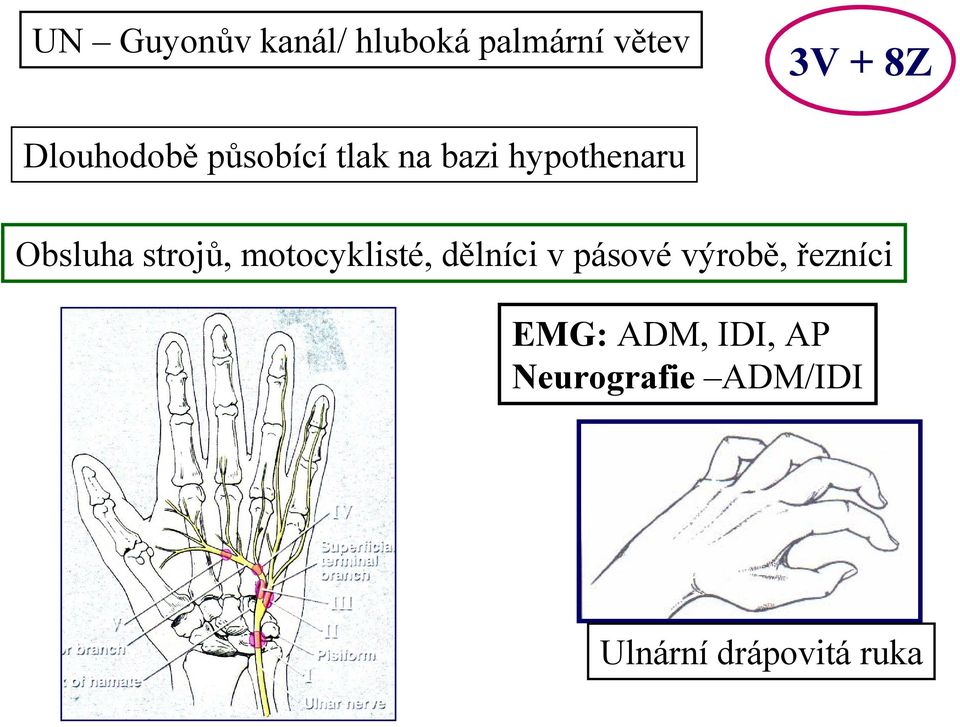 strojů, motocyklisté, dělníci v pásové výrobě, řezníci