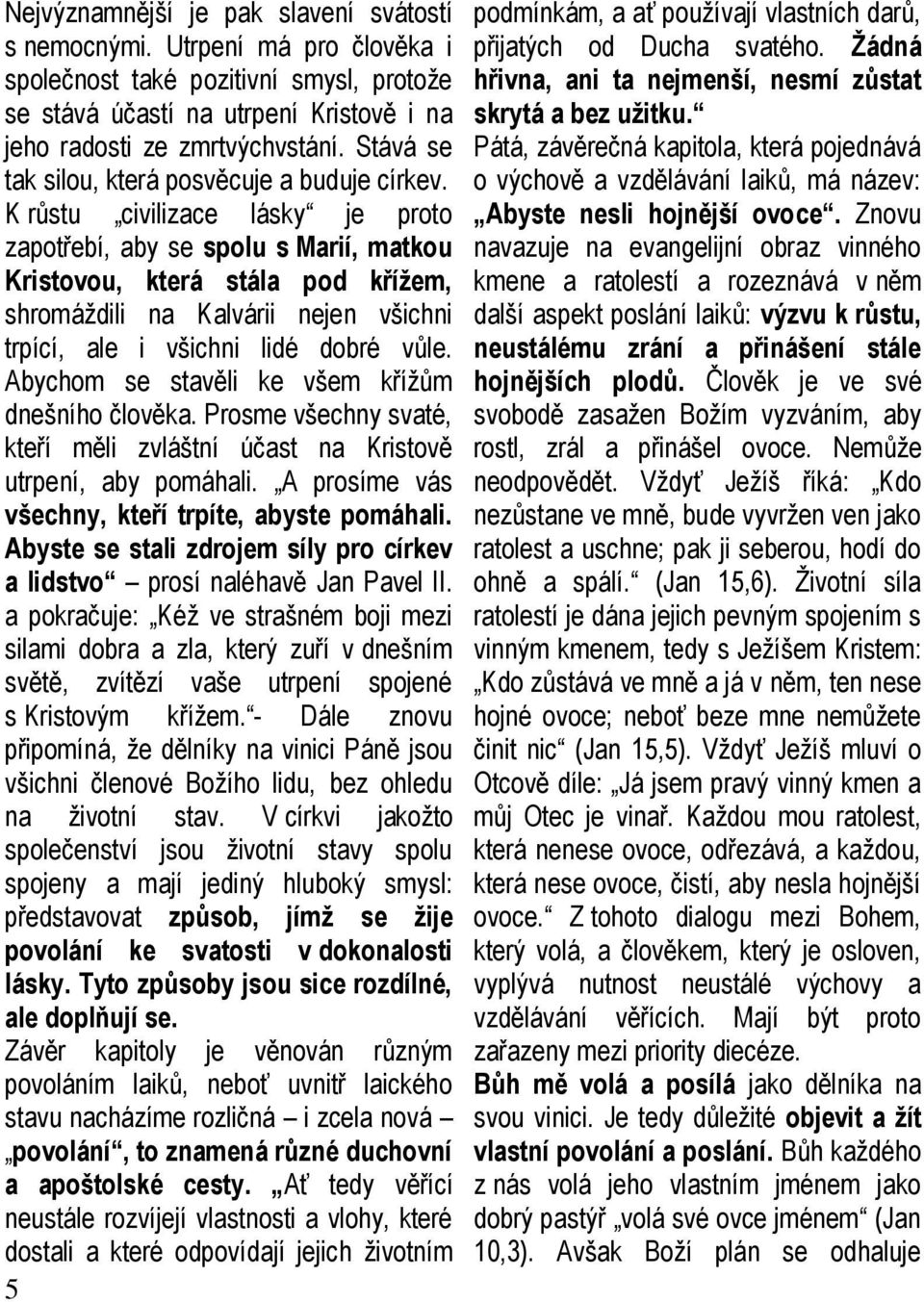 K růstu civilizace lásky je proto zapotřebí, aby se spolu s Marií, matkou Kristovou, která stála pod křížem, shromáždili na Kalvárii nejen všichni trpící, ale i všichni lidé dobré vůle.