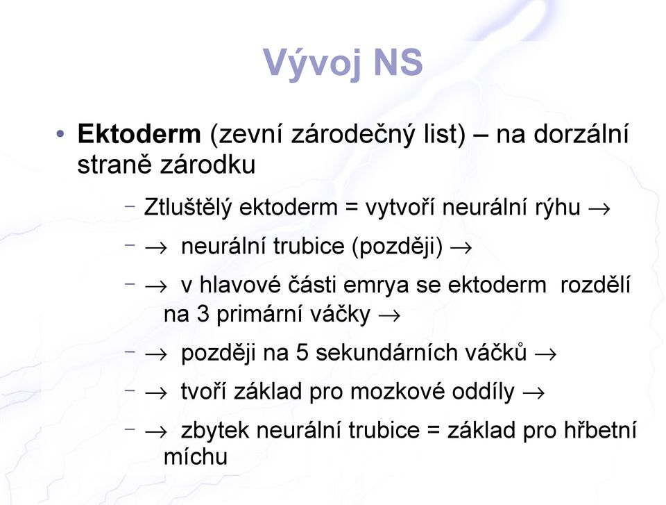 emrya se ektoderm rozdělí na 3 primární váčky později na 5 sekundárních váčků