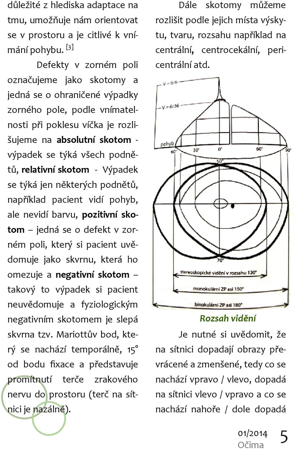 podnětů, relativní skotom - Výpadek se týká jen některých podnětů, například pacient vidí pohyb, ale nevidí barvu, pozitivní skotom jedná se o defekt v zorném poli, který si pacient uvědomuje jako