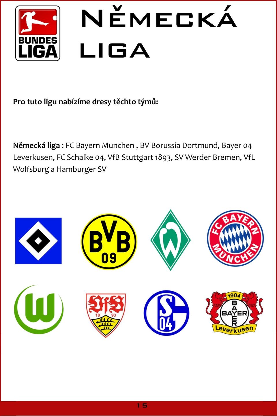 Dortmund, Bayer 04 Leverkusen, FC Schalke 04, VfB