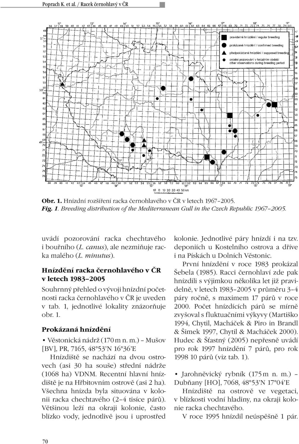 Hnízdění racka černohlavého v ČR v letech 1983 2005 Souhrnný přehled o vývoji hnízdní početnosti racka černohlavého v ČR je uveden v tab. 1, jednotlivé lokality znázorňuje obr. 1. Prokázaná hnízdění Věstonická nádrž (170 m n.