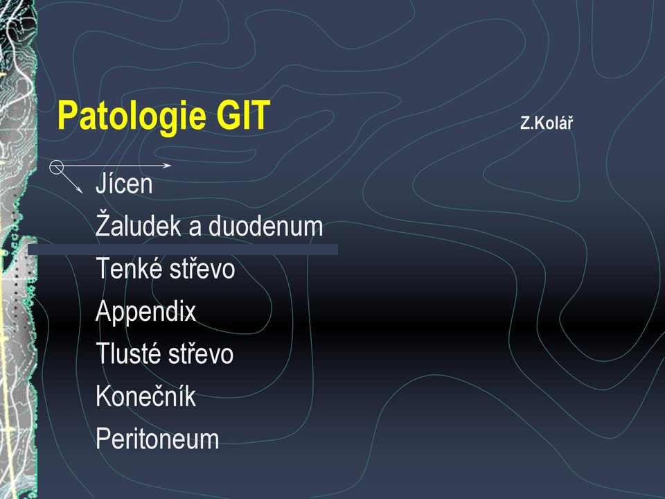 střevo Appendix