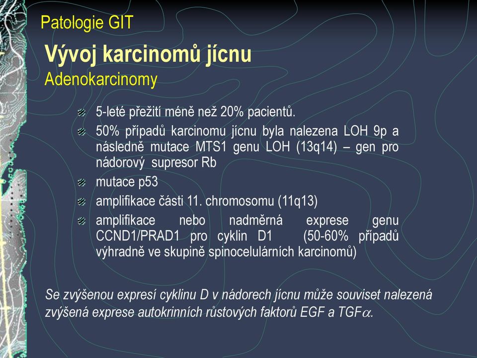 p53 amplifikace části 11.