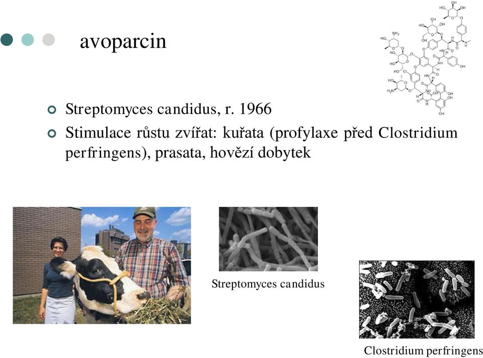 (profylaxe před Clostridium perfringens),