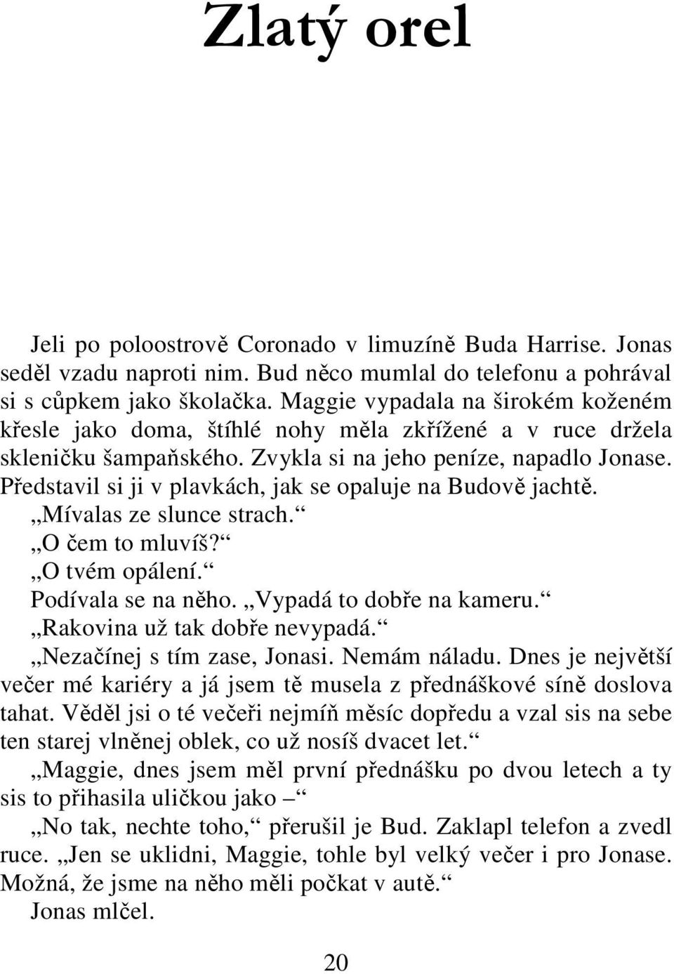 Představil si ji v plavkách, jak se opaluje na Budově jachtě. Mívalas ze slunce strach. O čem to mluvíš? O tvém opálení. Podívala se na něho. Vypadá to dobře na kameru. Rakovina už tak dobře nevypadá.