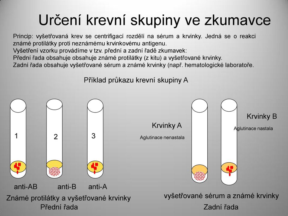 přední a zadní řadě zkumavek: Přední řada obsahuje obsahuje známé protilátky (z kitu) a vyšetřované krvinky.