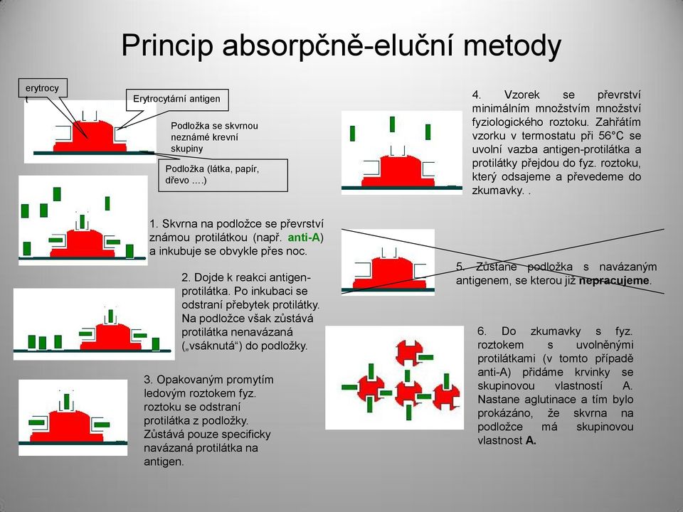 roztoku, který odsajeme a převedeme do zkumavky.. 1. Skvrna na podložce se převrství známou protilátkou (např. anti-a) a inkubuje se obvykle přes noc. 2. Dojde k reakci antigenprotilátka.